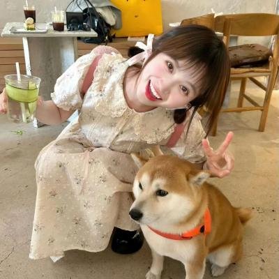 我的心封面